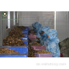 Bulk -Paket Chinesische Walnusskerne Viertel Lichtfarbe